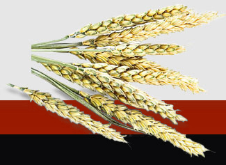 壹定发·(EDF)最新官方网站