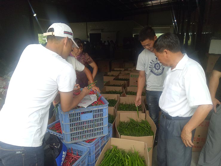 壹定发·(EDF)最新官方网站