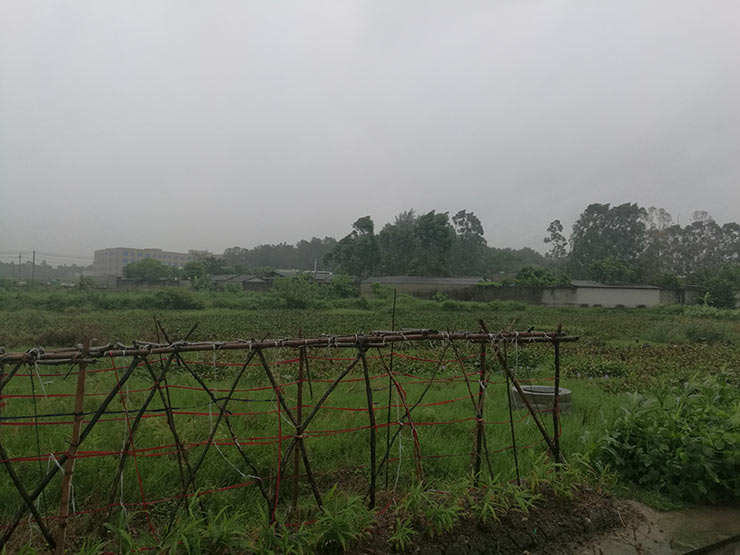 壹定发·(EDF)最新官方网站