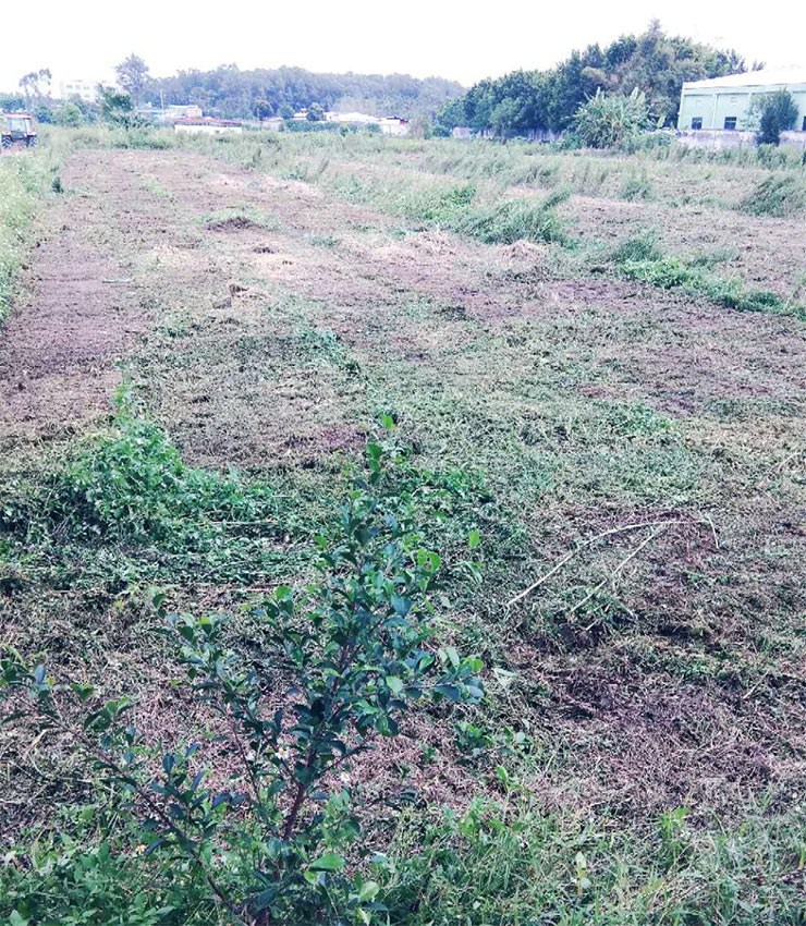 壹定发·(EDF)最新官方网站