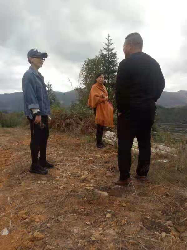 壹定发·(EDF)最新官方网站