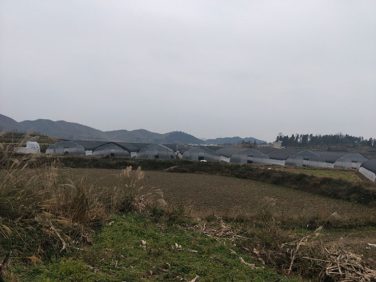 壹定发·(EDF)最新官方网站