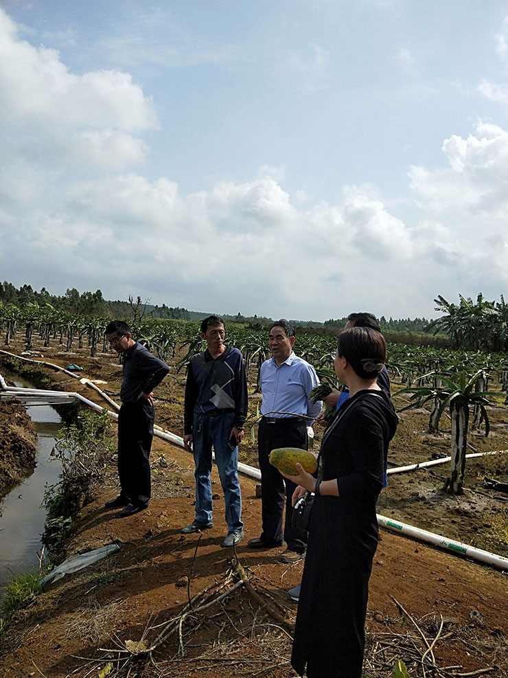 壹定发·(EDF)最新官方网站