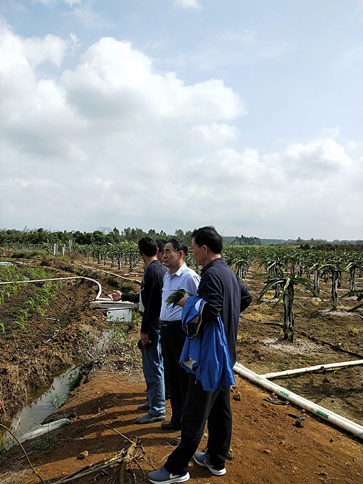 壹定发·(EDF)最新官方网站