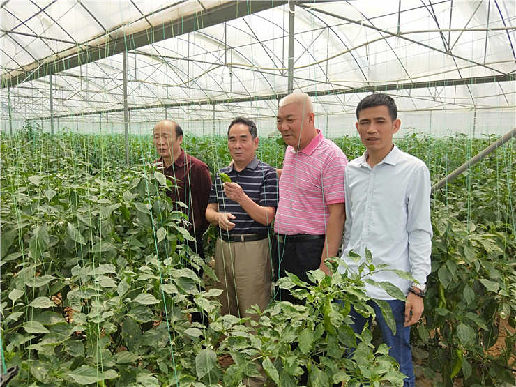 壹定发·(EDF)最新官方网站