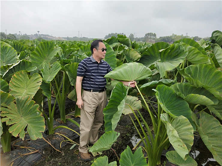 壹定发·(EDF)最新官方网站