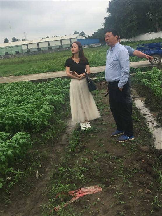 壹定发·(EDF)最新官方网站