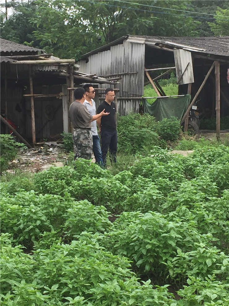 壹定发·(EDF)最新官方网站