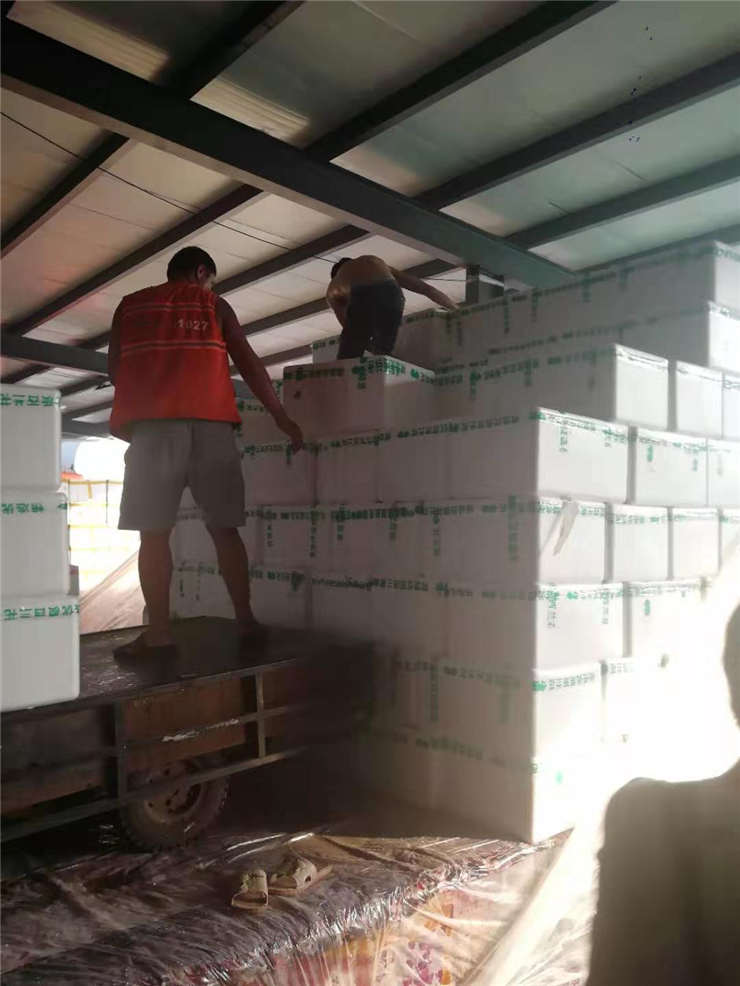 壹定发·(EDF)最新官方网站