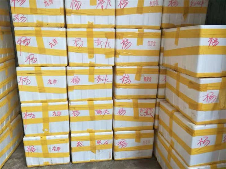 壹定发·(EDF)最新官方网站