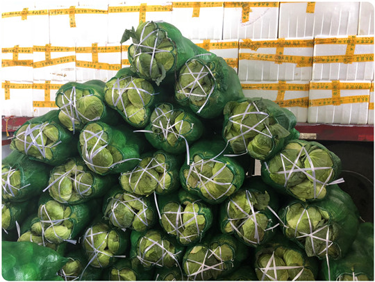 壹定发·(EDF)最新官方网站