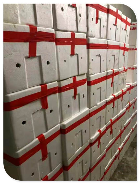 壹定发·(EDF)最新官方网站