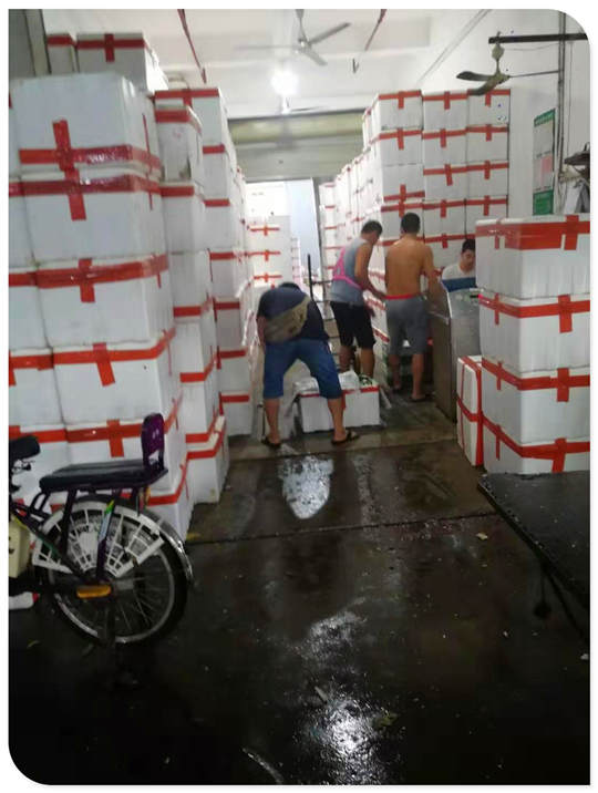 壹定发·(EDF)最新官方网站