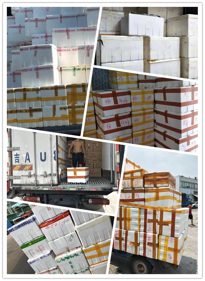 壹定发·(EDF)最新官方网站