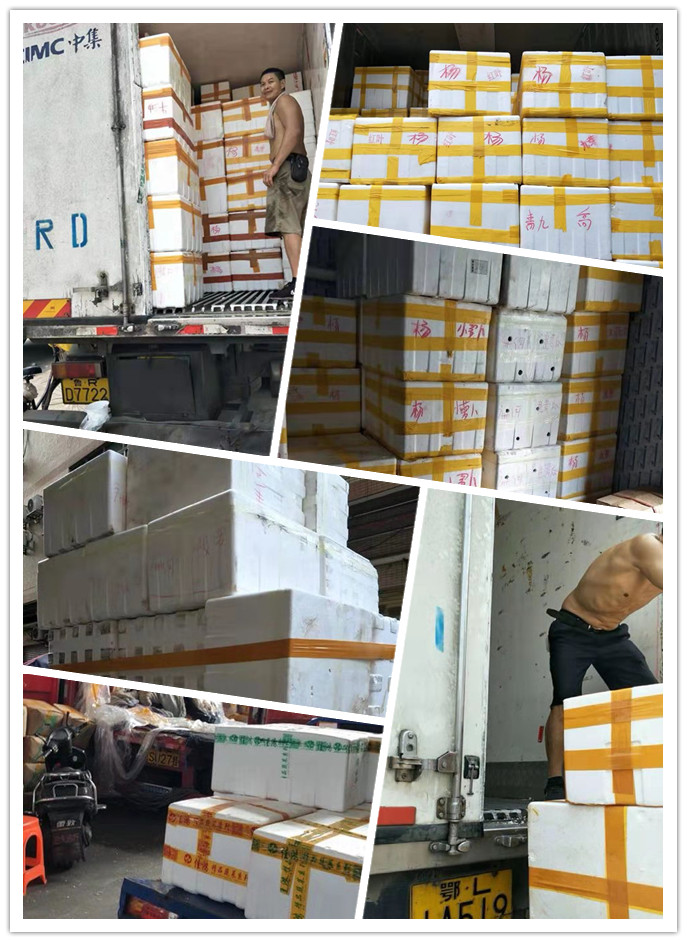 壹定发·(EDF)最新官方网站