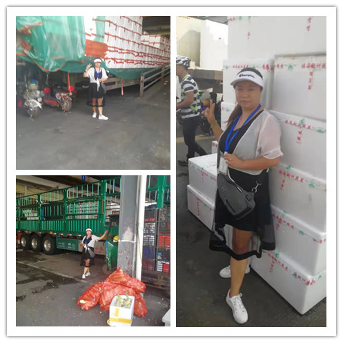 壹定发·(EDF)最新官方网站