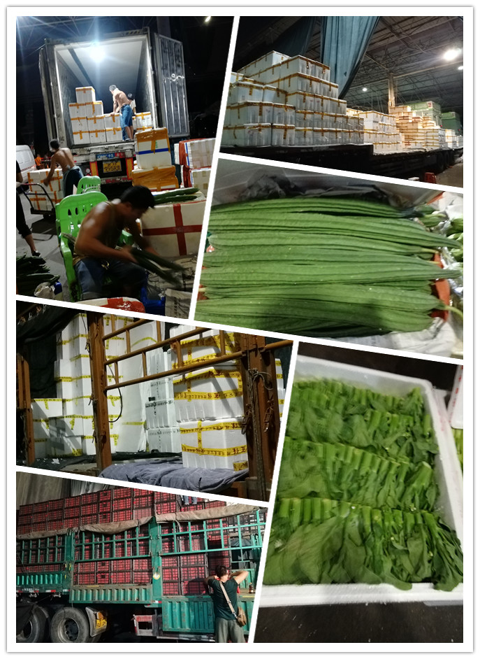 壹定发·(EDF)最新官方网站