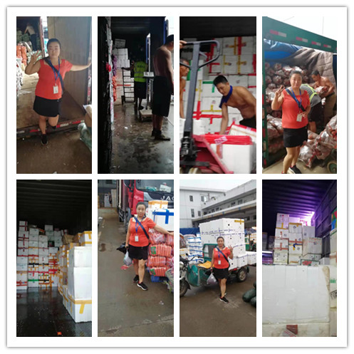 壹定发·(EDF)最新官方网站