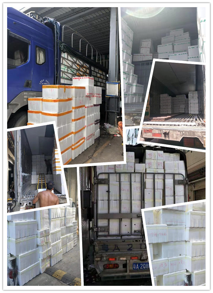 壹定发·(EDF)最新官方网站