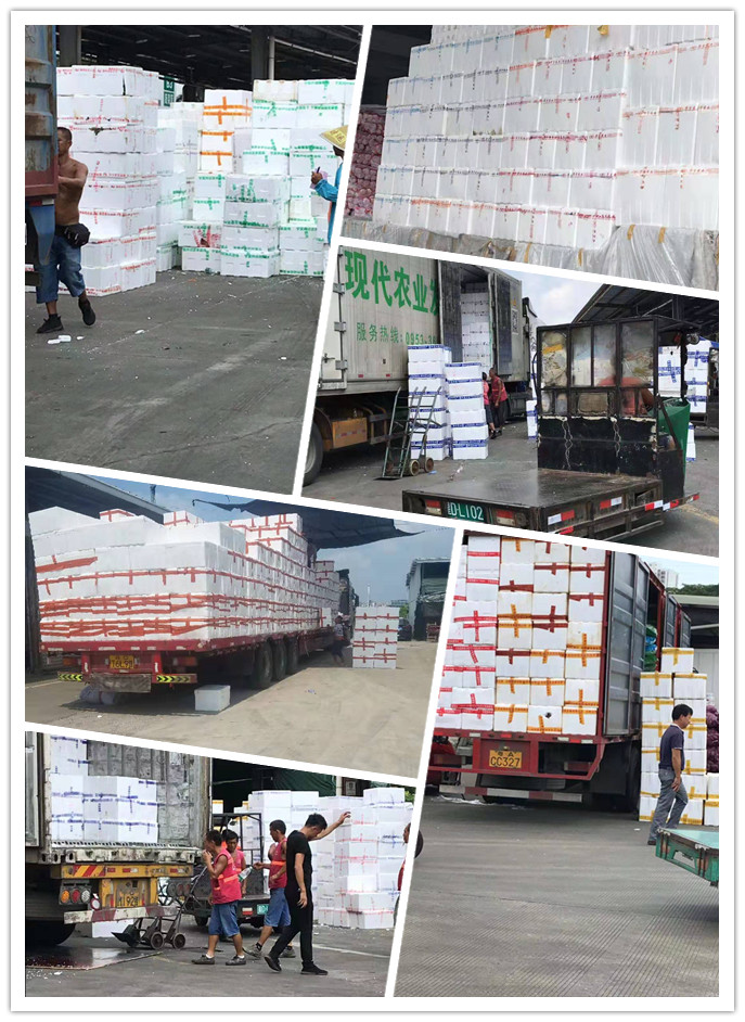 壹定发·(EDF)最新官方网站