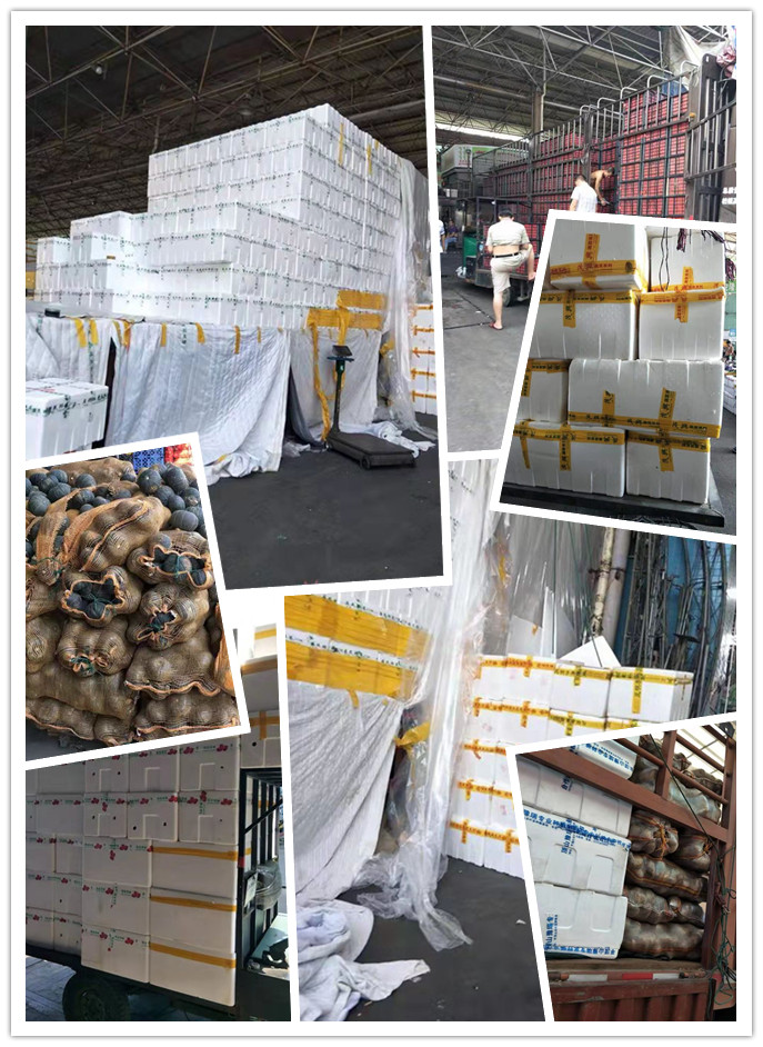 壹定发·(EDF)最新官方网站