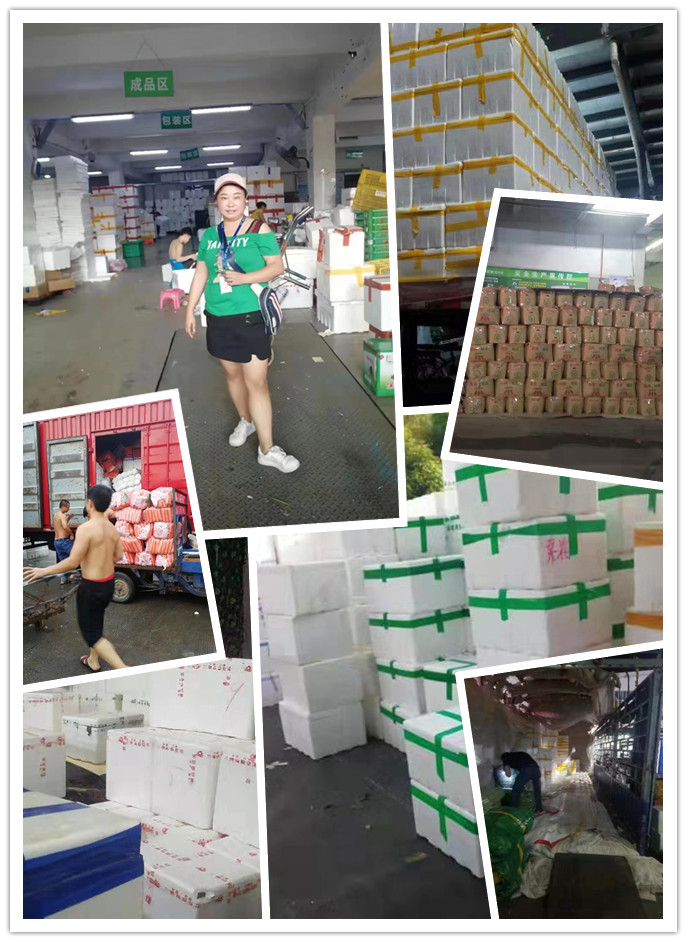 壹定发·(EDF)最新官方网站