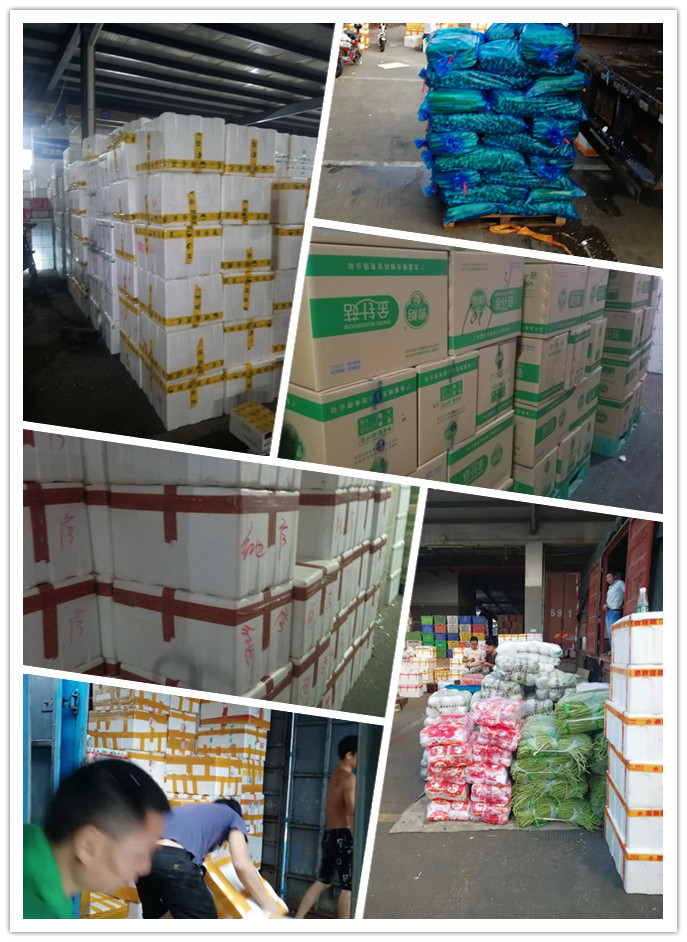 壹定发·(EDF)最新官方网站