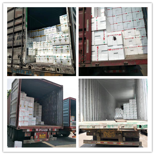 壹定发·(EDF)最新官方网站