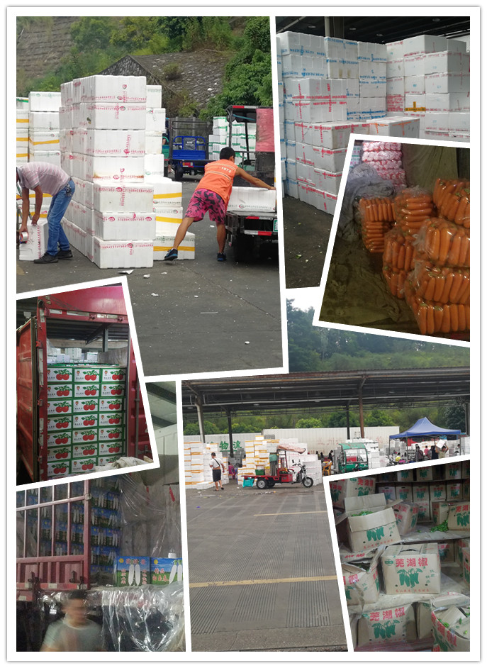 壹定发·(EDF)最新官方网站