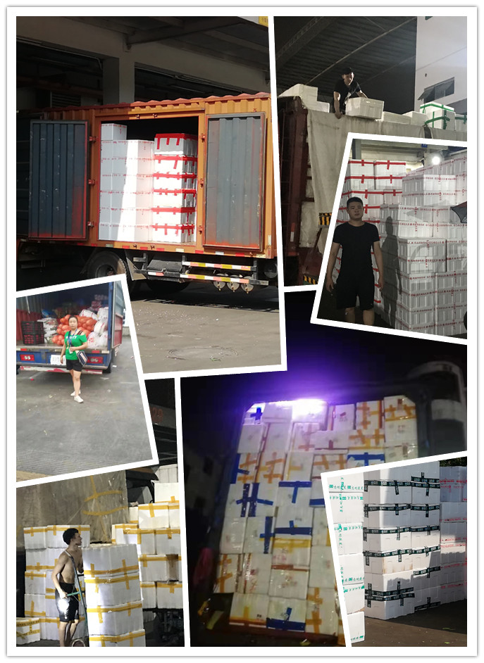 壹定发·(EDF)最新官方网站