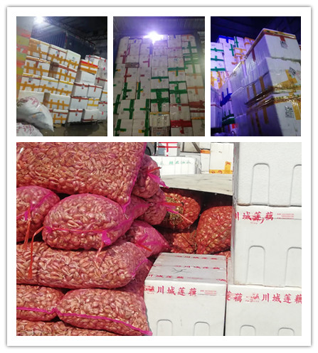 壹定发·(EDF)最新官方网站