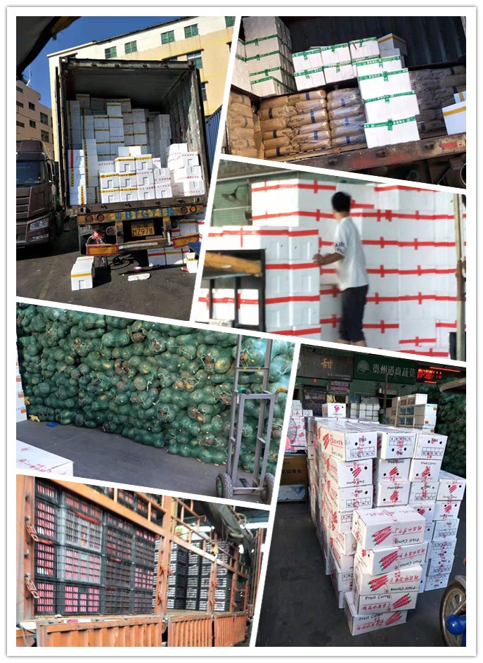 壹定发·(EDF)最新官方网站