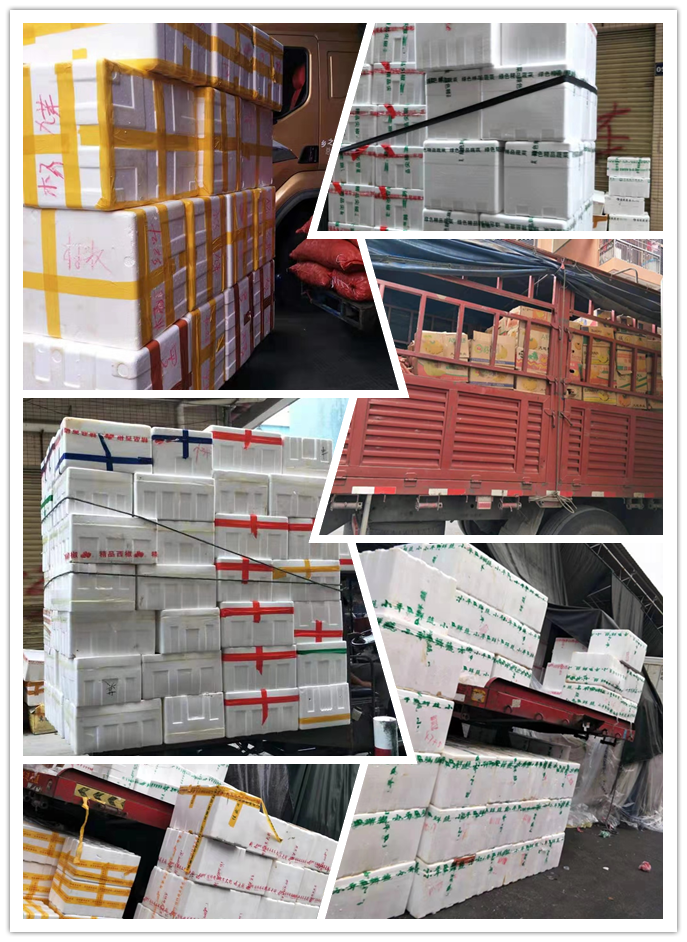 壹定发·(EDF)最新官方网站