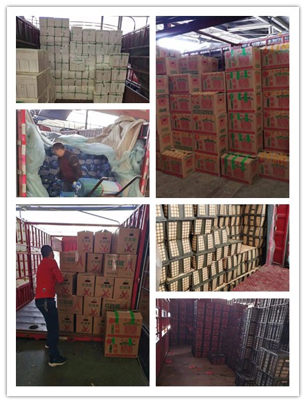 壹定发·(EDF)最新官方网站