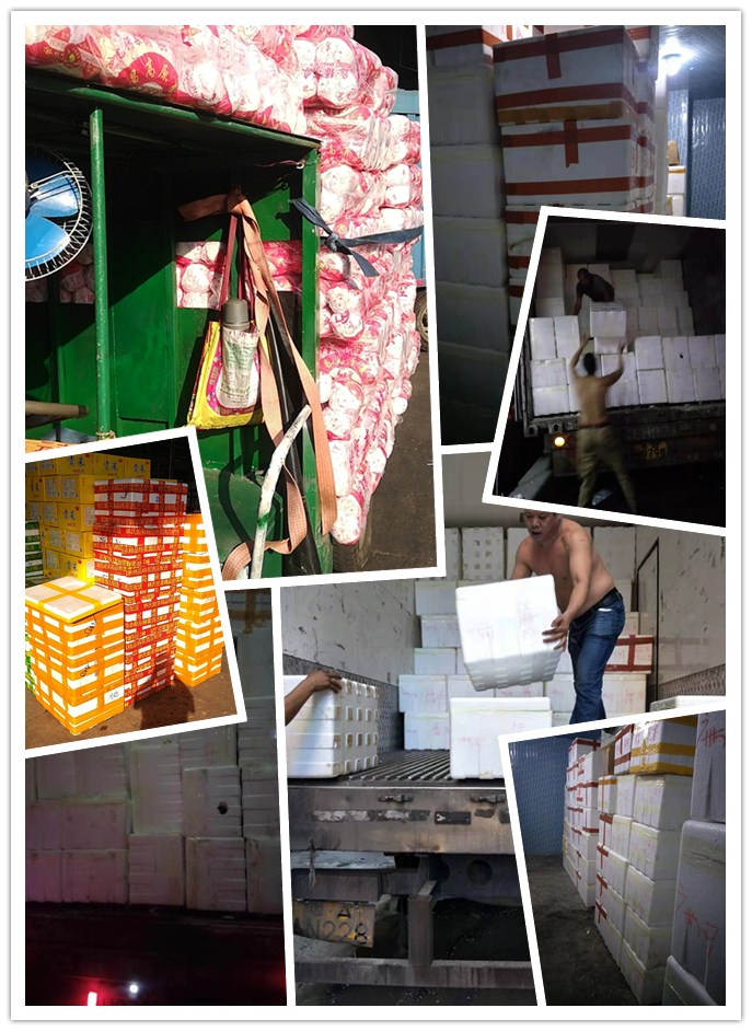 壹定发·(EDF)最新官方网站