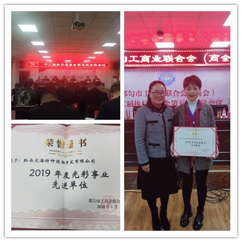 壹定发·(EDF)最新官方网站