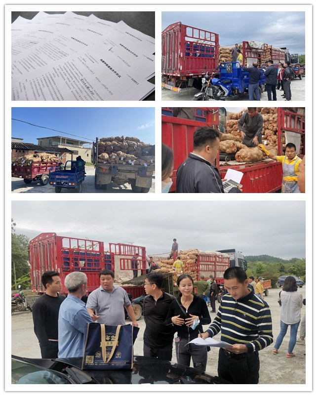 壹定发·(EDF)最新官方网站