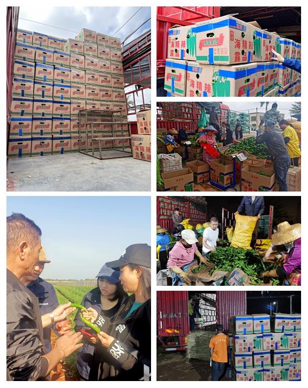 壹定发·(EDF)最新官方网站