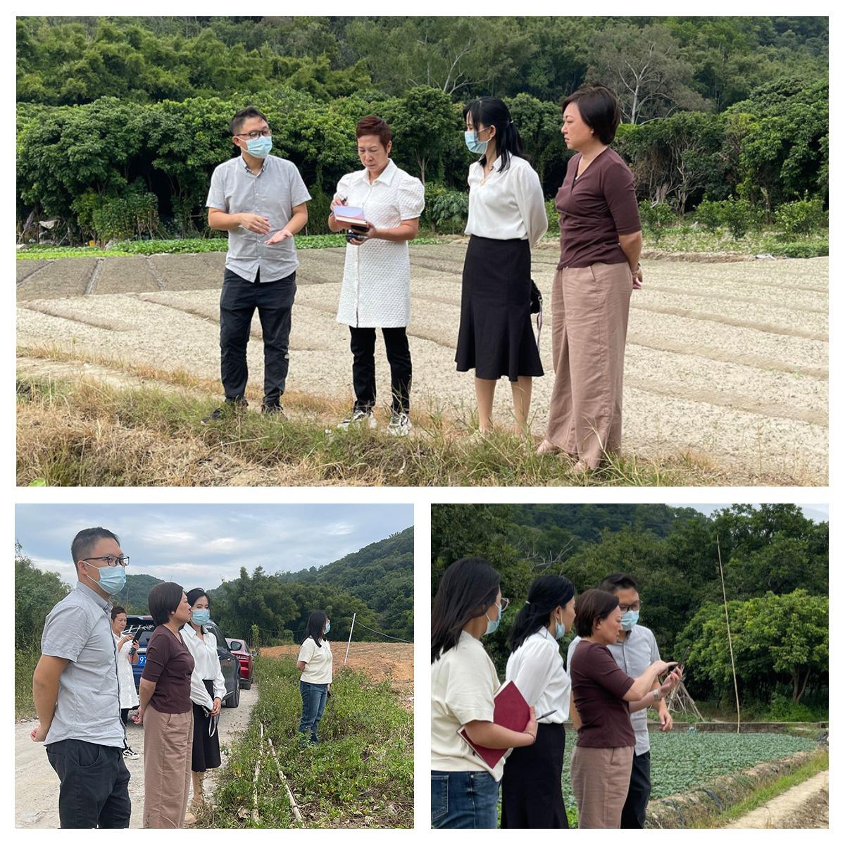 壹定发·(EDF)最新官方网站