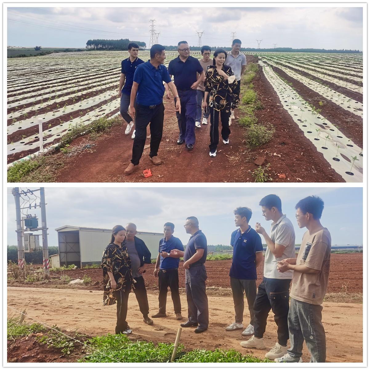 壹定发·(EDF)最新官方网站