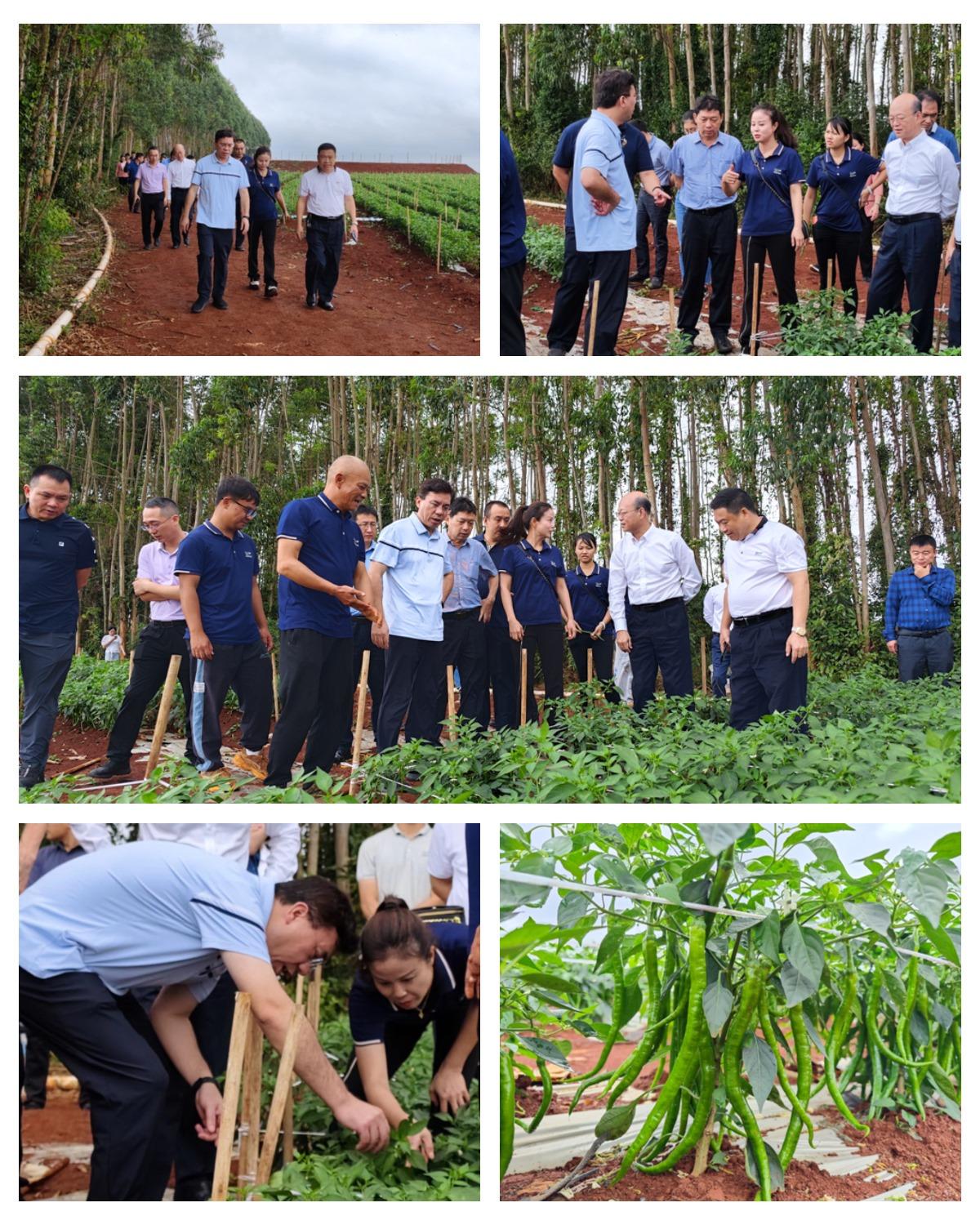 壹定发·(EDF)最新官方网站