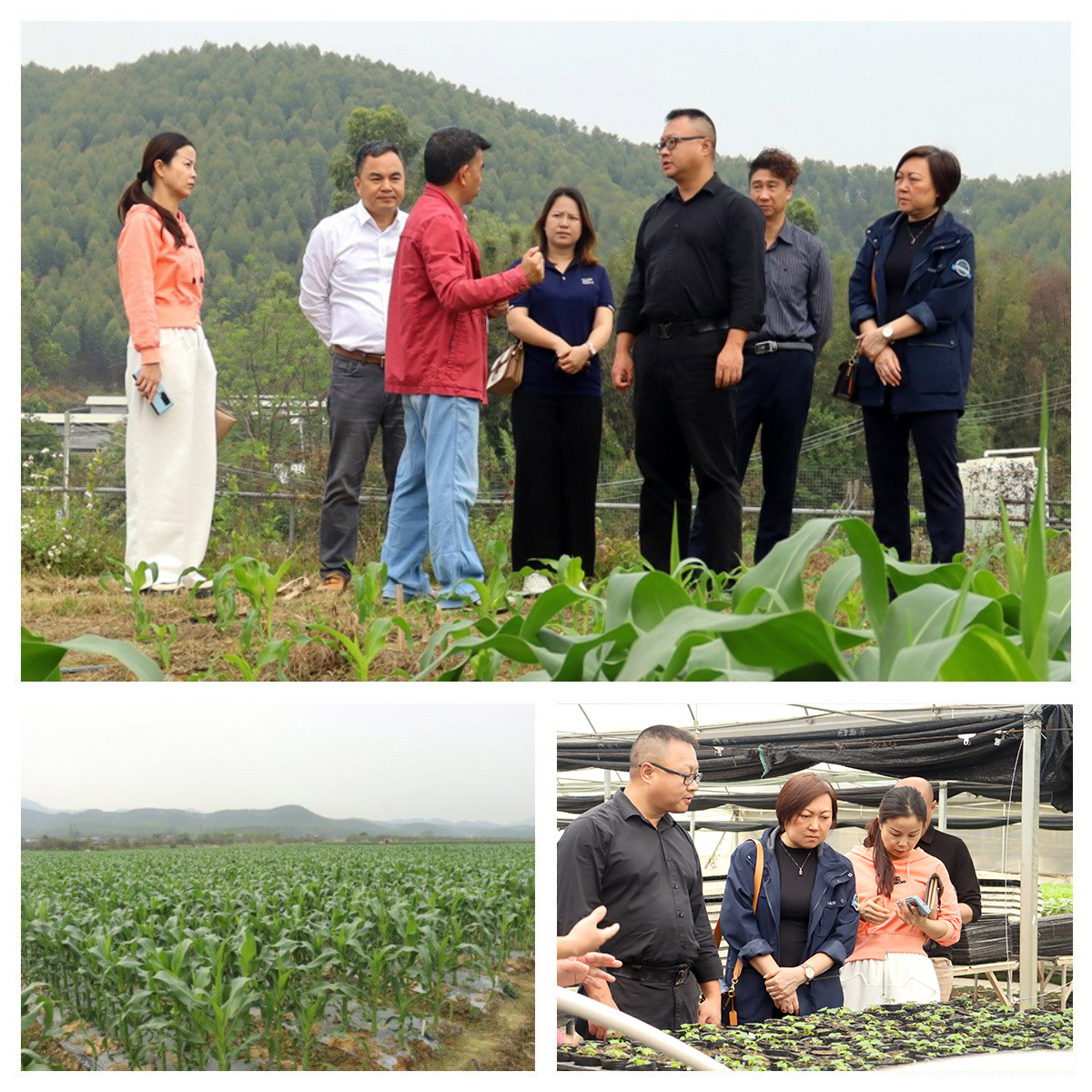 壹定发·(EDF)最新官方网站