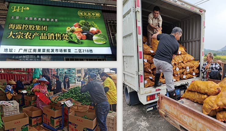 壹定发·(EDF)最新官方网站