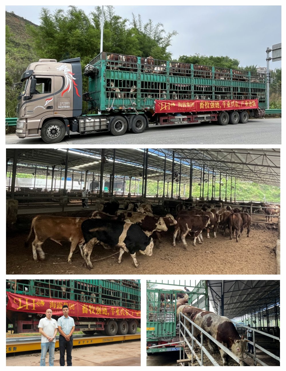 壹定发·(EDF)最新官方网站